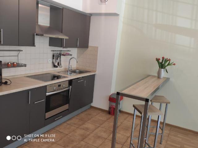 Luxapartament 3 - Z Duzym Tarasem I Garazem W Zeta Park Ustron Dış mekan fotoğraf